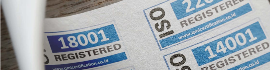 Visual Standards cover