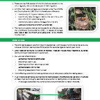 Thumbnail for EVTT01-38 Protection of Wildlife - Nesting Birds Toolbox Talk.pdf
